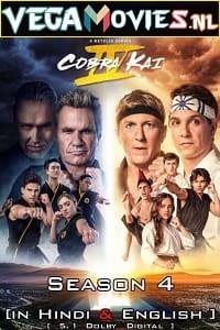  Cobra Kai – Netflix Original (2021) Season 4 Dual Audio {Hindi-English} 480p [150MB] | 720p [300MB] WEB-DL