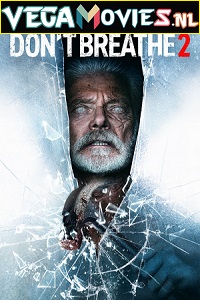  Don’t Breathe 2 (2021) Dual Audio {Hindi ORG 5.1 - English} WEB-DL 480p [300MB] | 720p [850MB] | 1080p [1.9GB]