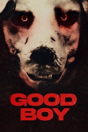  Good Boy (2022) Dual Audio [Hindi - Norwegian] BluRay 480p [350MB] | 720p [750MB] | 1080p [1.7GB]