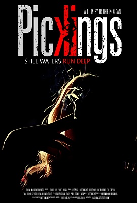  Pickings (2018) Dual Audio {Hindi-English} 480p [300MB] | 720p [900MB]