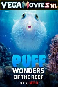  Puff: Wonders of the Reef (2021) Dual Audio {Hindi-English} 720p [350MB] HEVC HDRip