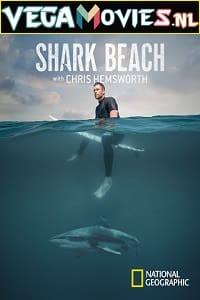  Shark Beach with Chris Hemsworth (2021) Dual Audio {Hindi-English} 720p [250MB] HEVC HDRip