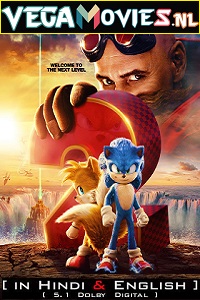  Sonic The Hedgehog 2 (2022) BluRay Dual Audio {Hindi-English} 480p [400MB] | 720p [1.3GB] | 1080p [3.3GB] | 2160p [13GB]