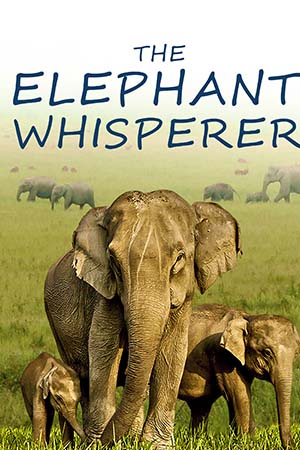  The Elephant Whisperers (2022) WEB-DL Dual Audio {Hindi - English} 480p [300MB] | 720p [470MB] | 1080p [1.4GB] | 2160p 4K [4.1GB]